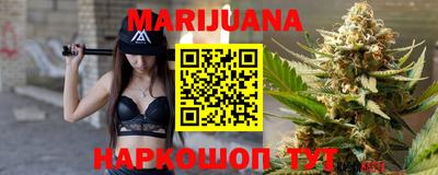 гидропоника Новозыбков