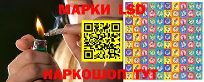 гидропоника Новозыбков