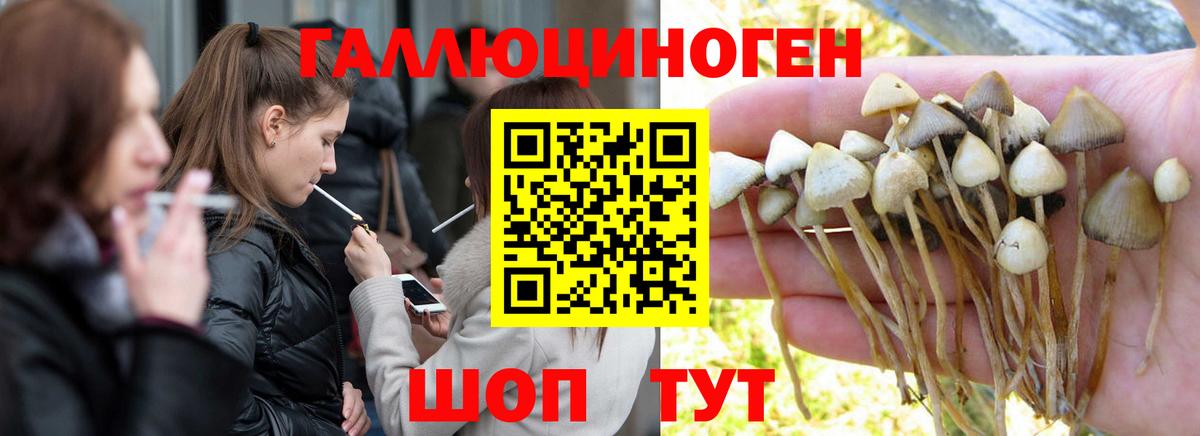 Галлюциногенные грибы MAGIC MUSHROOMS Сокол